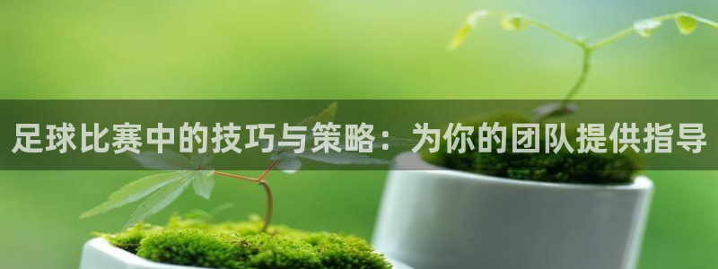 足球比赛中的技巧与策略：为你的团队提供指导