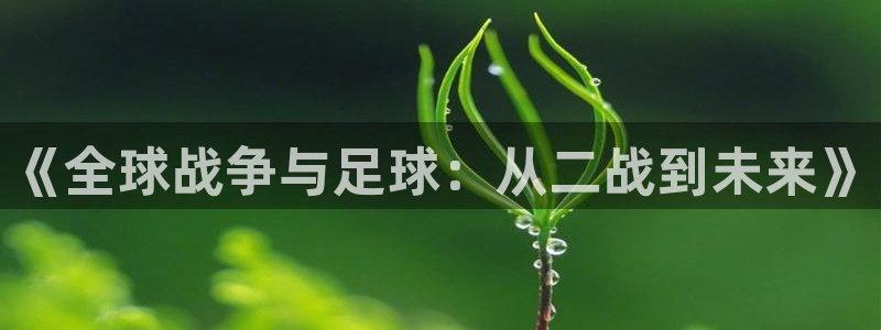 《全球战争与足球：从二战到未来》