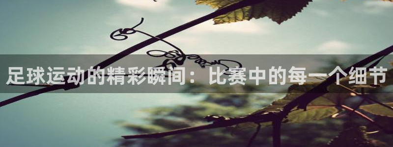 米兰体育中心在哪里啊：足球运动的精彩瞬间：比赛中的每一个细节