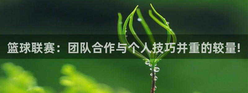 米兰体育网址：篮球联赛：团队合作与个人技巧并重的较量!