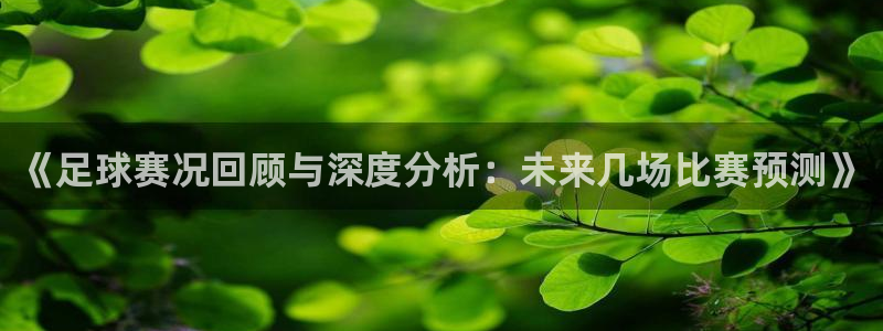 米兰体育法人代表是谁啊：《足球赛况回顾与深度分析：未来几场比
