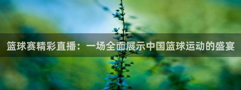 米兰体育基地：篮球赛精彩直播：一场全面展示中国篮球运动的盛宴