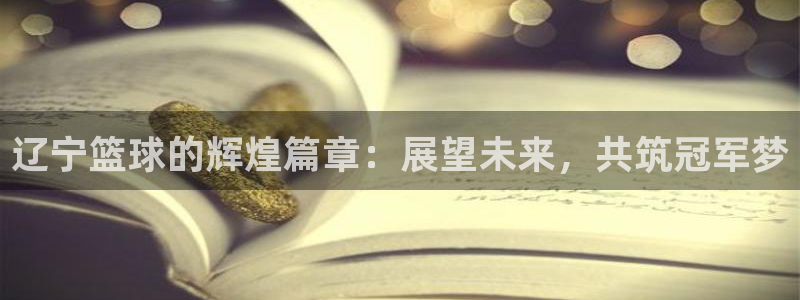米兰体育网页版：辽宁篮球的辉煌篇章：展望未来，共筑冠军梦